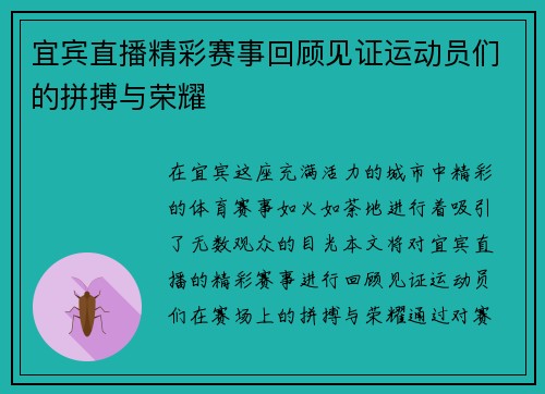 宜宾直播精彩赛事回顾见证运动员们的拼搏与荣耀